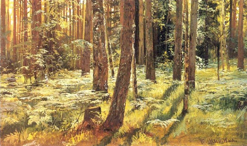 Ivan Shishkin Ferns in a Forest Germany oil painting art